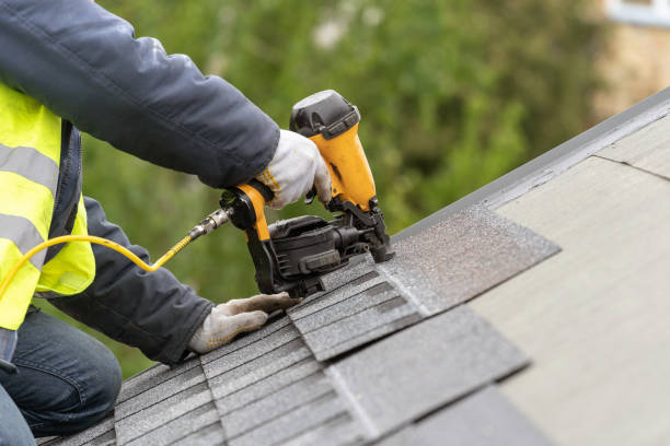 Best Roof Moss and Algae Removal  in East Richmond Heights, CA